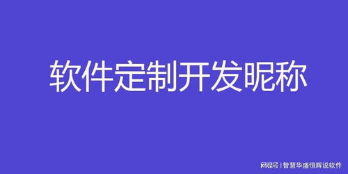中國軟件外包服務市場格局與領先企業(yè)解析