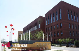 政策利好振翅高飛，天津七成軟企匯聚濱海新區(qū)領航軟件外包