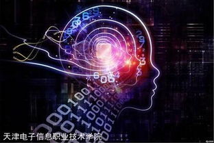 邁向國際高端服務業(yè)的橋梁——國家示范校央財支持重點建設專業(yè)“軟件外包服務”建設綜述